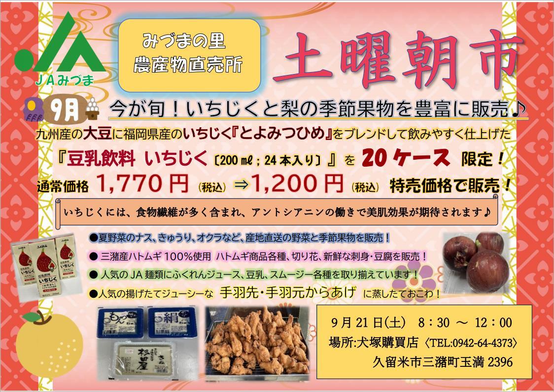 チラシ（PDF）