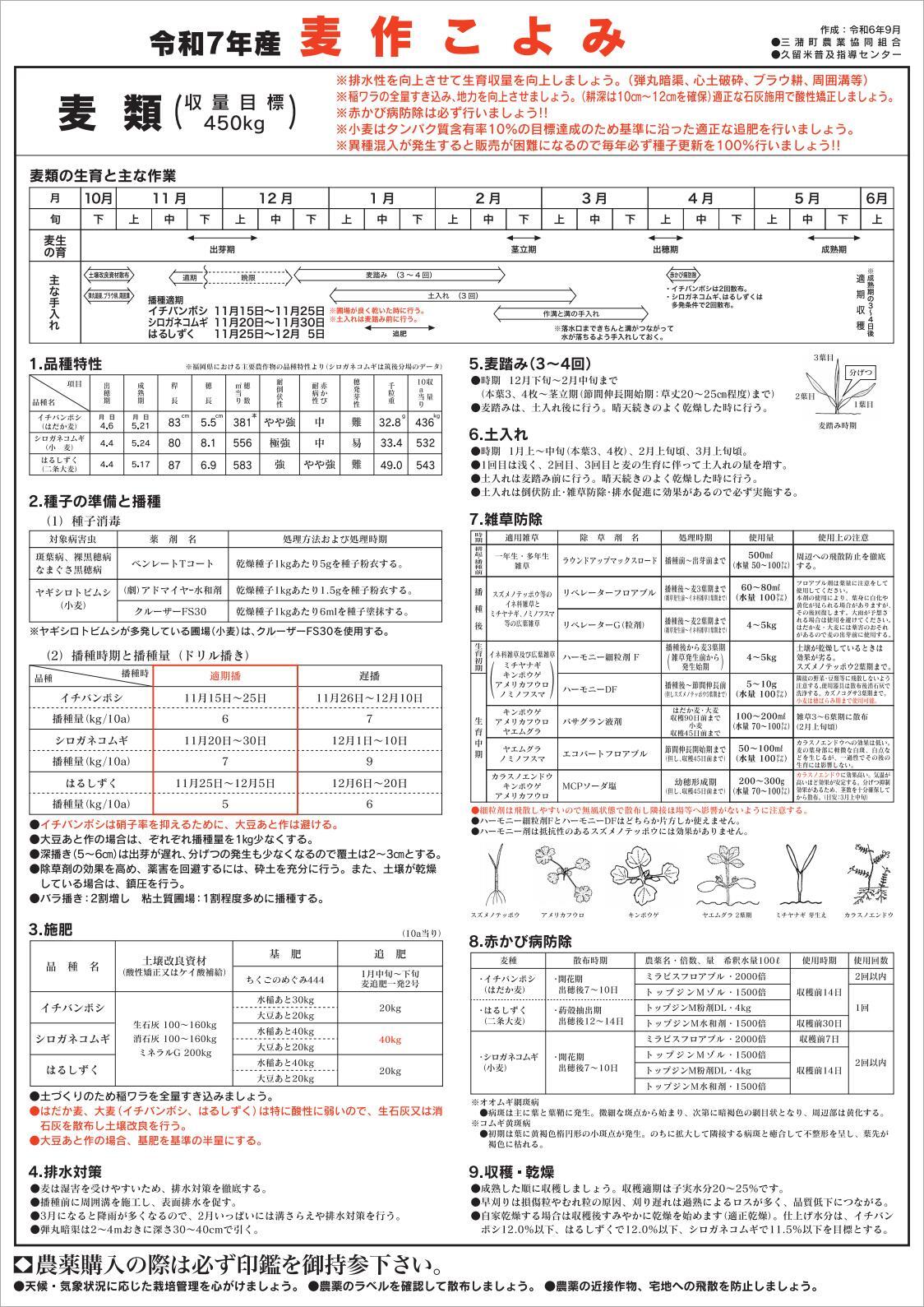 チラシ（PDF）