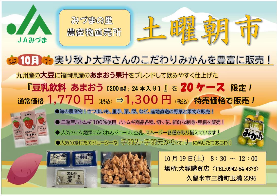 チラシ（PDF）