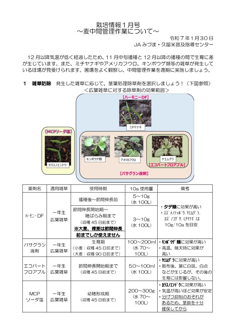 チラシ（PDF）